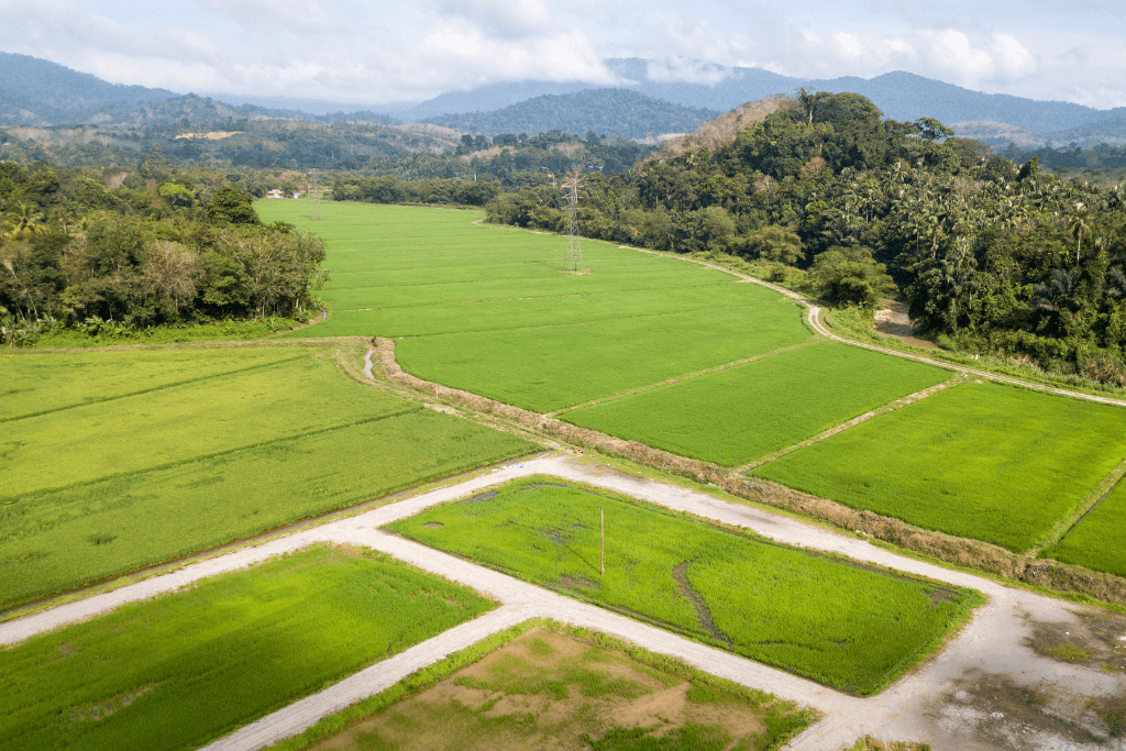 Is Raw Land Flipping the Best Real Estate Strategy for 2026