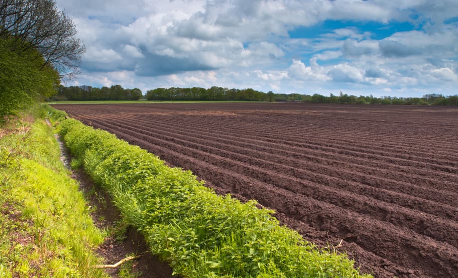 Tax-Advantaged Acres: Using Your IRA to Invest in Land