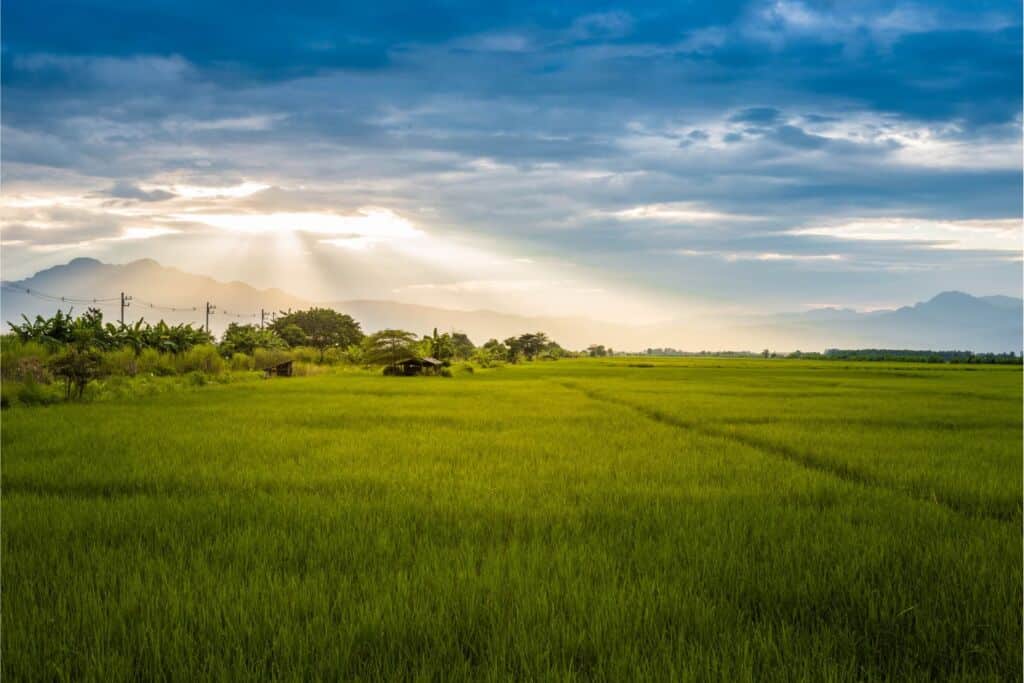 What Is Raw Land and Why Does It Matter in 2026?