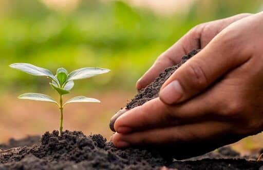 How to Get Started with Land Investing