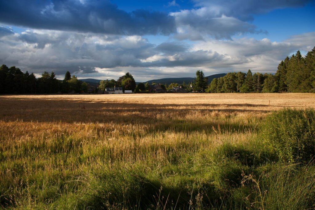 How to Buy Land with No Money: An Investor's Guide